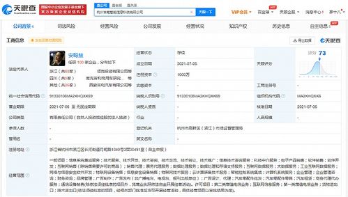 吉利成立吉氪新公司，與極氪有何關聯？信息系統集成服務成焦點
